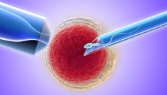 揭秘马来西亚试管技术：为何成为众多家庭的首选？