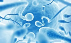 试管成功率大比拼：全国医院排名新鲜出炉！