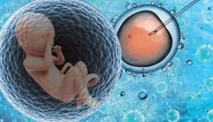 试管准备时间知多少？检查评估详解，助你轻松备孕