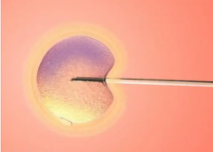 上海试管医院哪家强？成功率与注意事项，一文全解析！