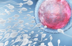 南宁试管技术解析：成功非百分百，理性看待不确定性！