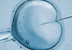 邯郸三代试管揭秘：单周期费用曝光，10万预算轻松应对！