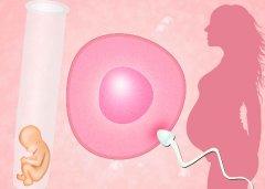 南昌哪些医院能够提供优质的试管服务？