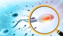 马来西亚试管医院介绍，试管成功日记分享