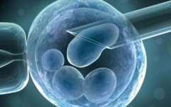 马来西亚试管有专业人才，试管医生排名介绍