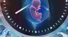 柬埔寨试管周期的详细步骤，柬埔寨试管周期的时间差异