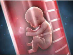 <b>试管检查有效期解析：了解它的重要性！</b>