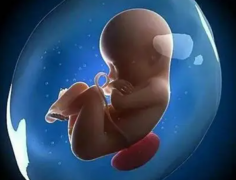 高效备孕新视角：试管取卵全攻略