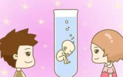 试管与准生证：法律护航，幸福有证