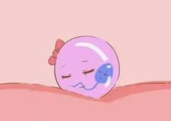 试管新策略：单胚胎移植，安全高效的最佳选择！