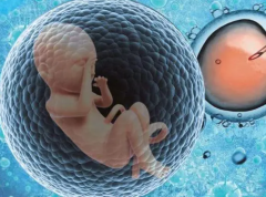 柬埔寨试管医院精选：您的必备选择指南！