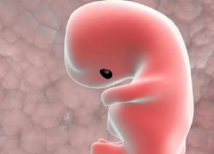 俄罗斯试管医院大揭秘：评价数据带您找到最可信赖之选！