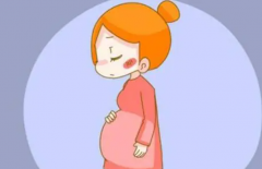 格鲁吉亚试管全解析：优势亮点与适用人群深度剖析！