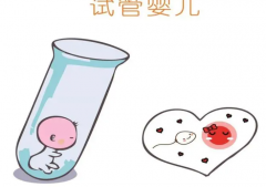 2023泰国试管服务精选：定制最佳治疗方案，助您圆梦未来