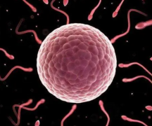 柬埔寨试管自助全攻略：精准避坑，助你好孕无忧！