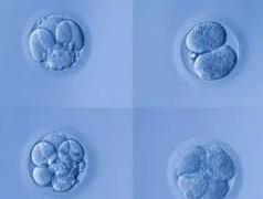 俄罗斯试管攻略：深入探索风险与注意事项揭秘！