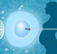 格鲁吉亚试管费用全解析：治疗费用详解，助您明智规划！