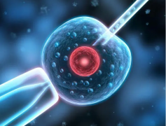 无精症患者的生育希望：三代试管技术，开启生命新篇章
