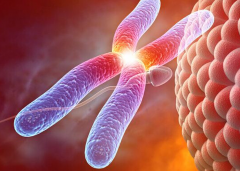 第二代试管技术：重塑生育可能，改写不孕命运！