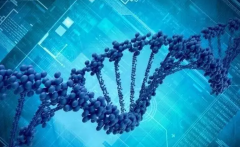 柬埔寨试管全攻略：流程解析与国内差异一览！