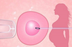 湛江中医院生殖中心：技术精湛，助孕之路更安心！