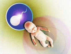 揭秘新加坡试管优势：高成功率遇上亲民费用，不孕不育者的福音！