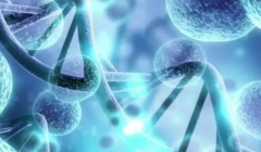 越南试管：揭秘性别选择的可能性与合法之路！