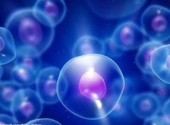 试管痛经揭秘：5大元凶与解救秘籍，轻松应对痛楚挑战！