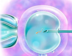 试管之路费用明：兰大二院2023清单解析