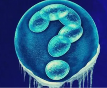 家恩德运重磅发布：三代试管领域医学巨匠——翟志瑾与谭姿辉双星闪