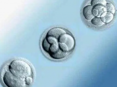 高龄女性试管挑战多？揭秘提升成功率的小妙招