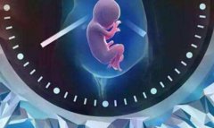 马来西亚试管医院的成功率如何？推荐这些试管医院