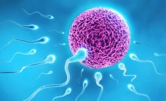 什么是试管技术？柬埔寨试管技术的发展历程