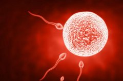 宁波有名的试管医院有哪些？有什么技术优势？