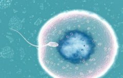 日本试管技术怎么样？日本试管排名前十的实力医院推荐