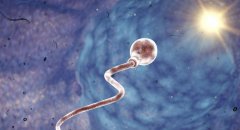 上海排名前五的试管医院名单，选择试管医院要考虑这些方面