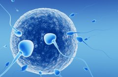 俄罗斯私人生殖机构排名，哪家试管医院专业可靠？