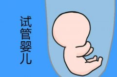 人工授精的费用需要多少？人工授精的注意事项有哪些？