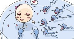 子宫肌瘤的定义和影响，子宫肌瘤对试管成功率的影响