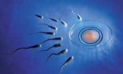 DMD携带者做三代试管技术介绍，三代试管的成功案例数分析