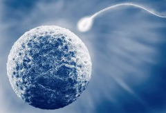 南宁试管医院：为您打开成功怀孕的大门！