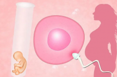 解析四川试管机构：为离婚单身女性提供生育服务