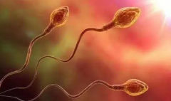 试管技术新突破！广西多家医院可助您圆梦生'男'孩