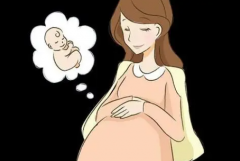 吉林试管成功率揭秘：包成功服务靠谱吗？