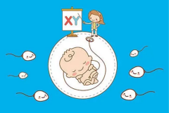 分享三代试管选性别规划，提高成功率