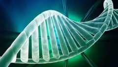 深圳三代试管新突破：科学调控，男孩梦想触手可及