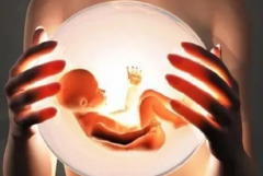 2024年在昆明做试管是不是不需要结婚证了，最新政策调整解析的标题