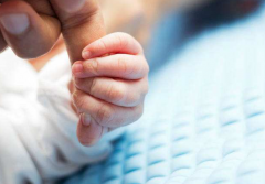 2024年弋矶山医院试管医生名单及助孕成功率概览