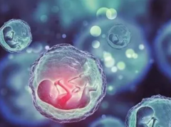 抉择的智慧：西北妇幼VS唐都医院，试管之路如何选？