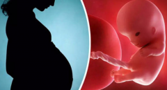 潮州三代试管包成功费用揭秘：高成本背后的考量及降费策略全解析